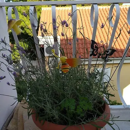 Mediterraneum