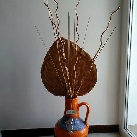 Mediterraneum